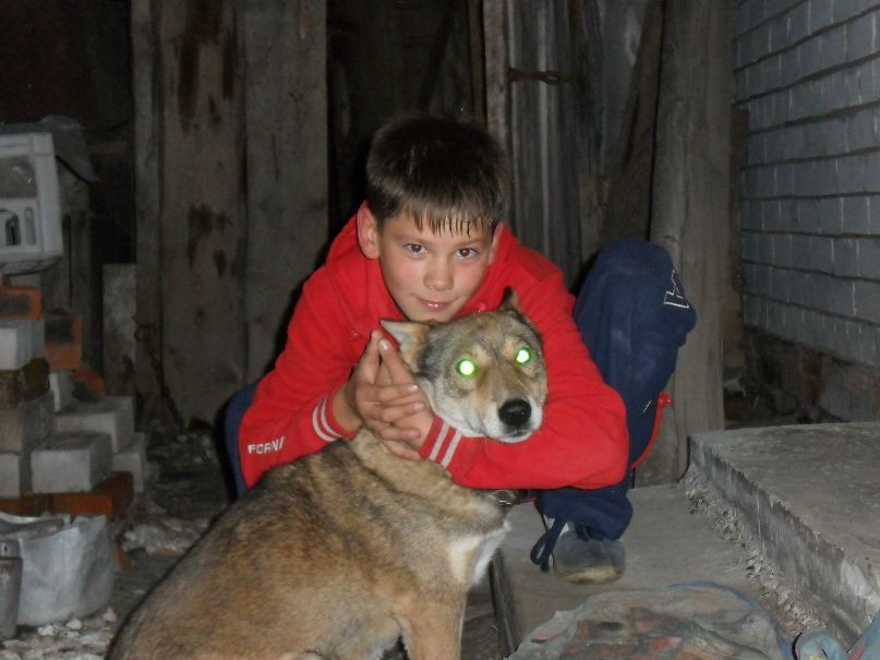 Александр Орлов фотография #34