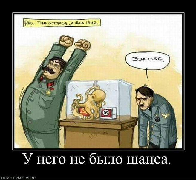 Дмитрий Евгеньевич фото №44