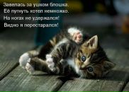 Вікуся Кульчицька фотография #33 (источник - https://vk.com/id119780571)