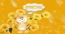 Илья Дьяченко фотография #20 (источник - https://vk.com/id52228312)