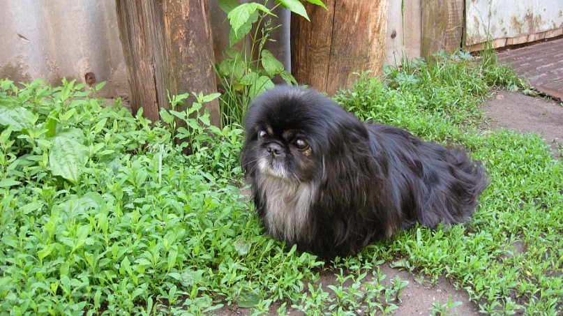 Дмитрий Казанцев фотография #1