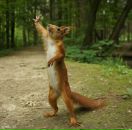 Фотография Минкевич Валентины