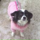 Фотография Prusakova Bella