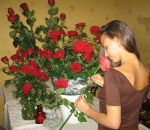 Фотография Клоссе Анны