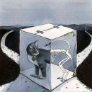 Фотография Mitwelt Алексея