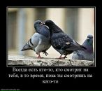 Сергій Фень фотография #44 (источник - https://vk.com/id30150316)