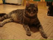 Фотография Рязанцевой Евгении