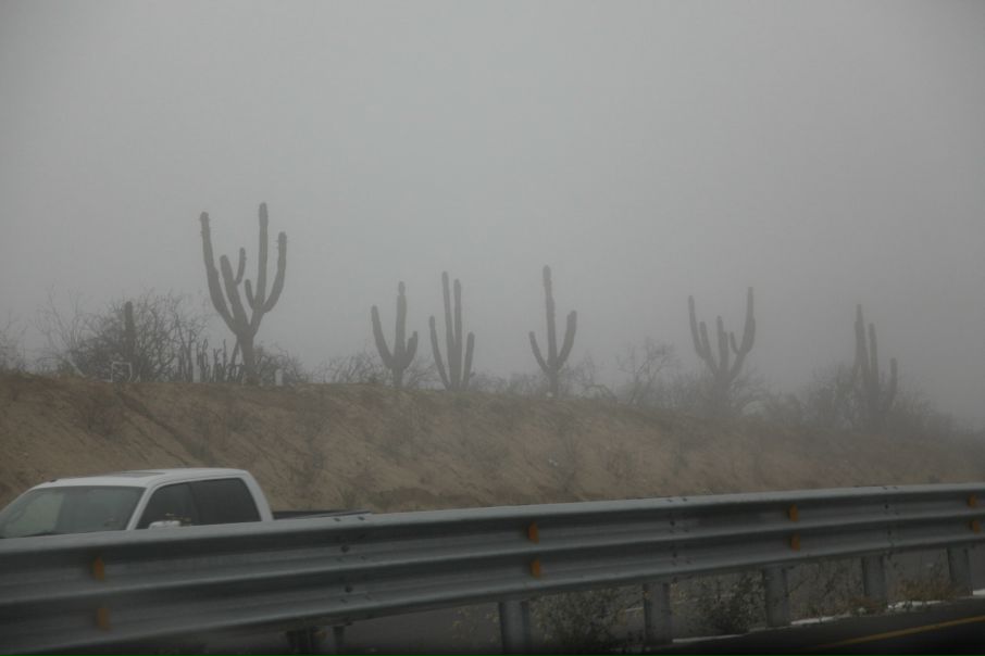 Джейн Эйр фото №47