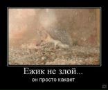 Тетяна Єськова фотография #7 (источник - https://vk.com/id2347817)