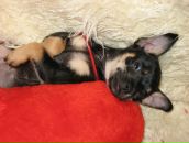 Фотография Тотьмяниной Маруси