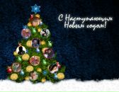 Марія Потебня фотография #1