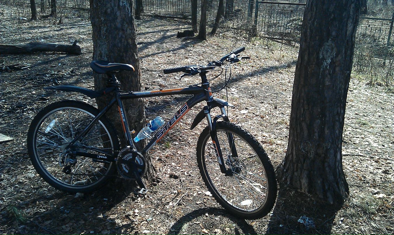 Рамиль Давлетшин фотография #31