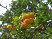 Фотография Iпполитовой Юлии