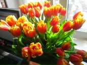 Фотография Казаковой Елены