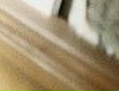 Olenka :) фотография #14 (источник - https://vk.com/id14700219)