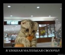 Фотография Смирнова Евгения