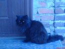 Тетяна Поцілуйко фотография #5 (источник - https://vk.com/id167057270)