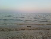 Марічка Івасишин фотография #25 (источник - https://vk.com/id61678763)