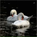 Фотография Мироновой Валерии