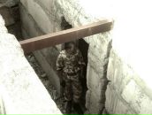 Фотография Панасенко Александра