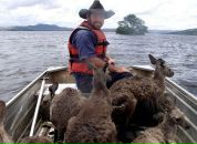 Дмитрий Постников фотография #8 (источник - https://vk.com/id3496846)