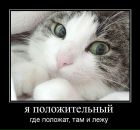 Фотография Коченгина Андрея