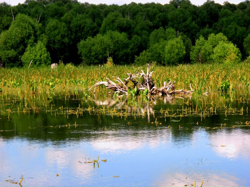 Марина Василенко фотография #46