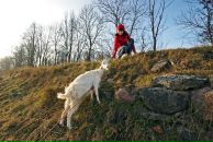 Фотография Gitelson Nataly