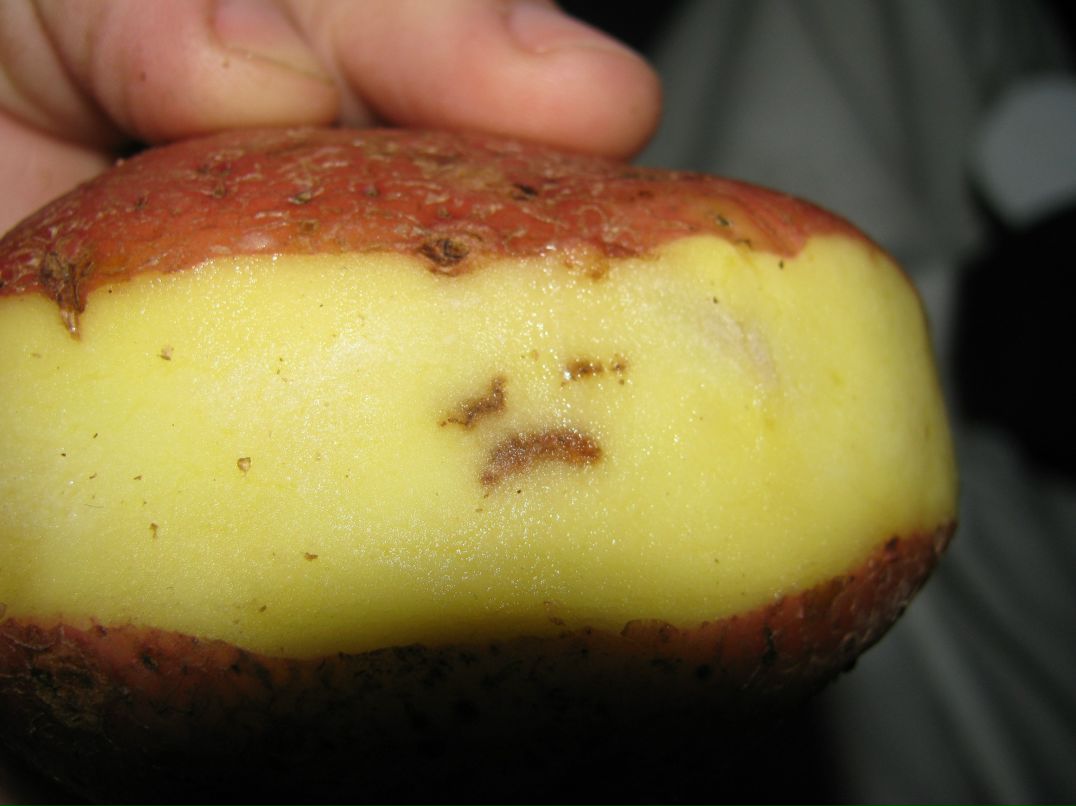 Анастасия Прудникова фотография #10