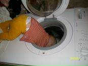 Валік Зінчук фотография #1