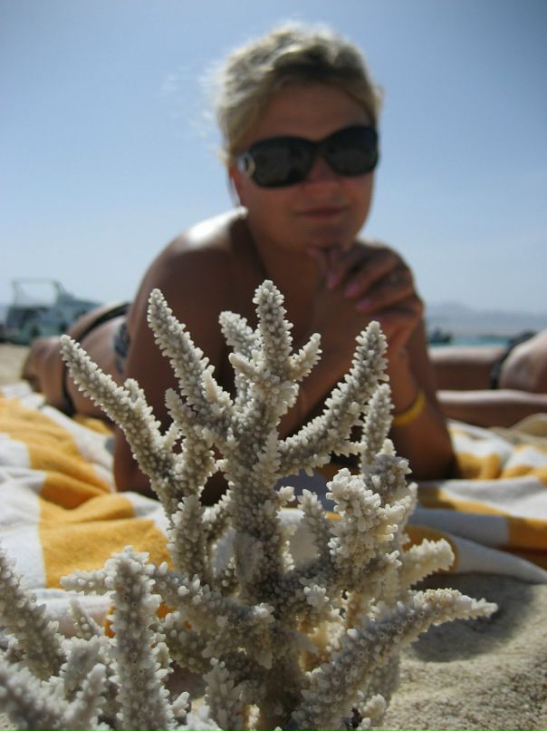 Екатерина Гольцова фотография #44