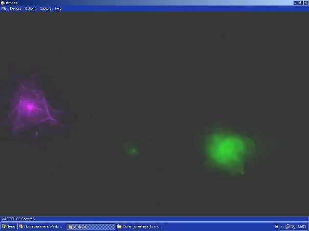 Ivan Королёв фото №18