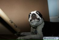 Фотография Киреева Игоря