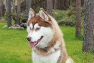 Фотография Владимирского Евгения