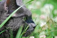 Фотография Karpova Anastasia