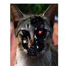 Фотография Сокина Ильи