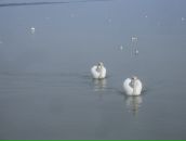 Фотография Пченикина Александра