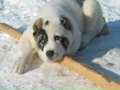 Фотография Бочкарёва Романа