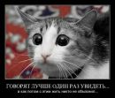 Фотография Дашковой Натальи