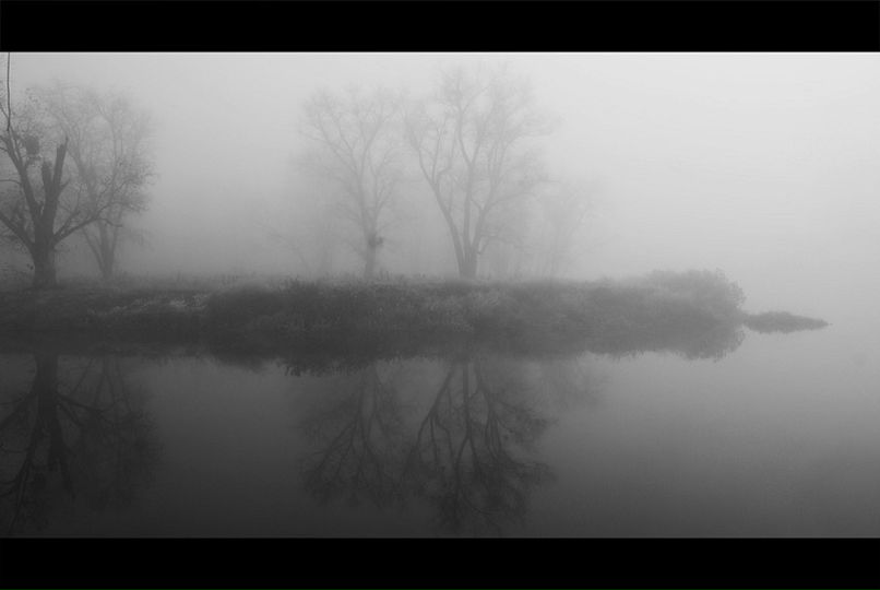 Саша Тарасенко фотография #30