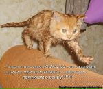 Ольга Селиванова фотография #19 (источник - https://vk.com/id878078)