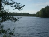 Фотография Мартыненко Максима