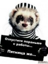 Ярослав Малішевський фотография #9 (источник - https://vk.com/id103213630)
