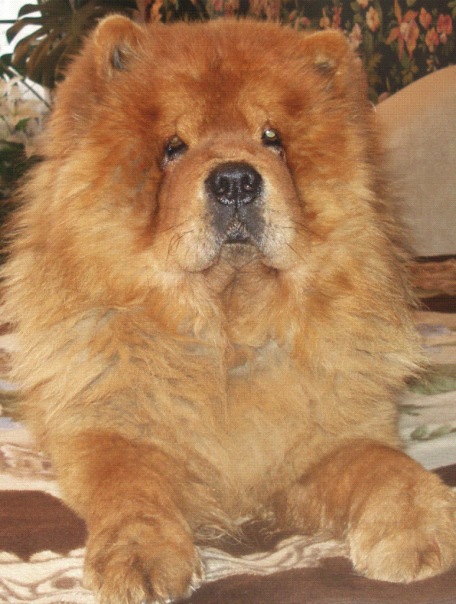 Дмитрий Пинаев фото №12