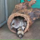 Фотография Крекнина Антона