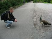 Фотография Стрижакова Станислава