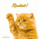 Фотография Баринова Андрея