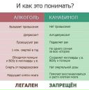 Mr Lol фотография #37 (источник - https://vk.com/id2471236)