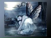 Фотография Шабеткиной Светланы