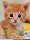 Діма Щусин фотография #39 (источник - https://vk.com/id191018821)